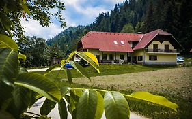 Farm Stay Loger