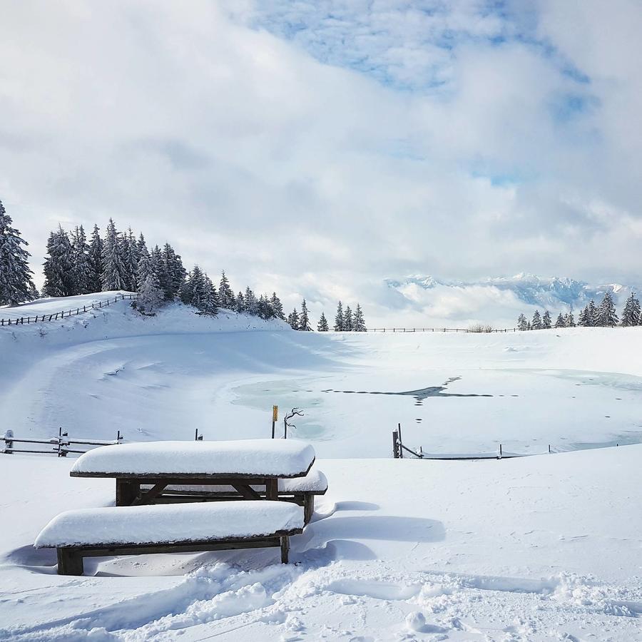 Farm Stay Loger Ljubno Exterior photo